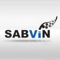 Sabvin Logo
